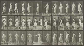 EADWEARD MUYBRIDGE (1830-1904) A selection of 2 plates from Animal Locomotion. 1887.